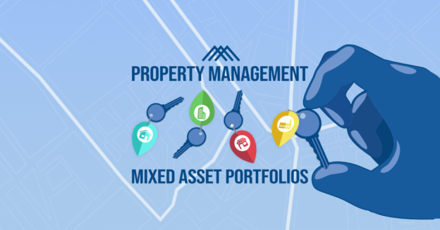 Featured image for "Portfolio Diversification" blog post.